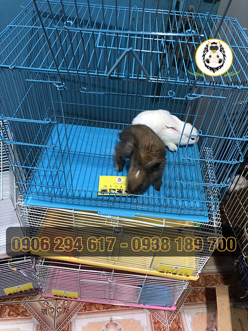 LỒNG THỎ BỌ